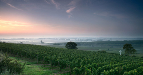 Weingut Dreissigacker Geyersberg