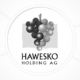 Hawesko Holding AG Logo People