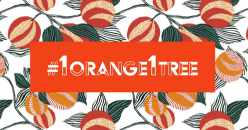 Cointreau #1Orange1Tree