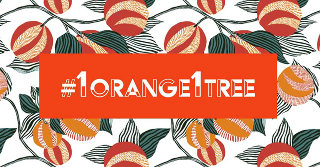 Cointreau #1Orange1Tree