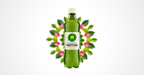 Carpe Diem Matcha Sparkling Green Tea