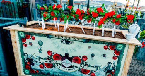 Hendrick’s Gin Hochbeet