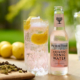 FEVER-TREE Pink Aromatic Tonic