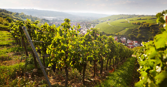 GWF Randersacker Ortschaftsbild