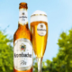 Krombacher Pils Flasche Glas