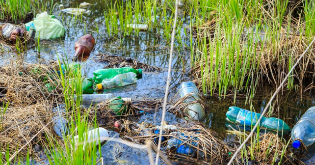 SodaStream Flaschen Müll