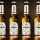 Warsteiner WM-Flaschen 2018