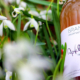 BRANDHOF Apfel Natur Gras