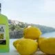 Villa Massa Limoncello