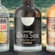 Sanddorn Gold Dark Side Bernstein Q Gin