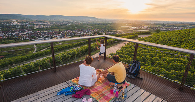 Picknick in den Weinbergen