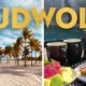 Rudwolf Energy Interview