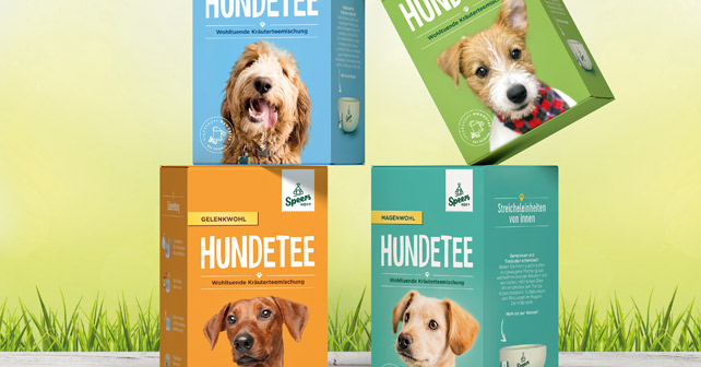 Hundetee