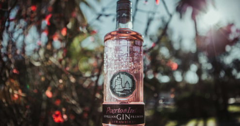 Puerto De Indias Strawberry Gin Flasche