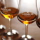 Camus Cognac