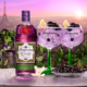 Tanqueray Blackcurrant Royale Mood