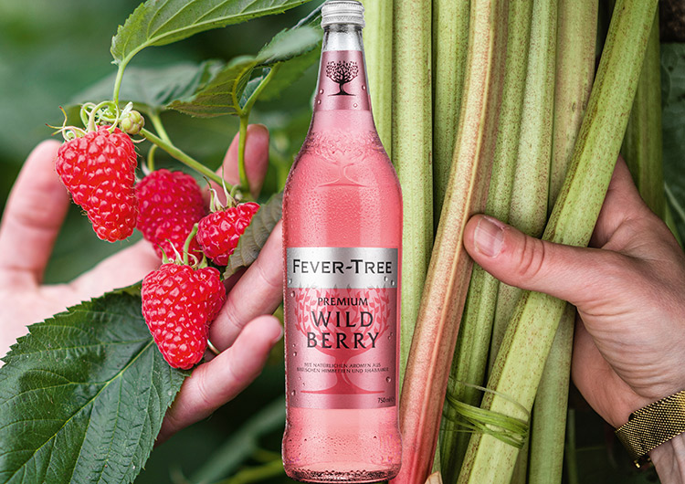 fever tree wild berry