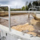 carlsberg water recycling plant