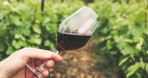 hand hält ein glas wein