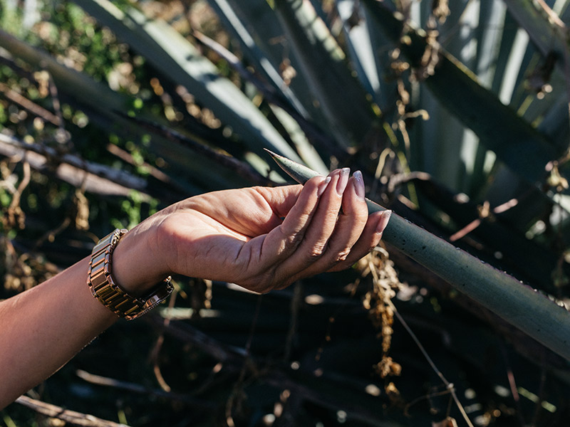 A New Era Of Tequila - Julien Morel about Volcán de mi Tierra 