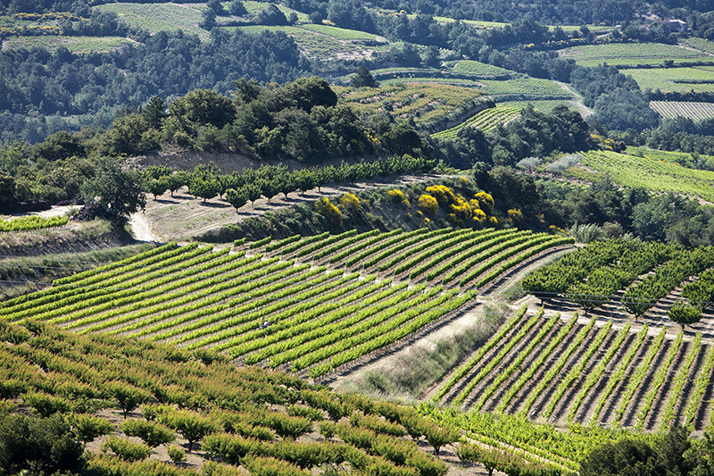 interRhone landschaft