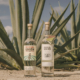 mezcal union