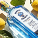 bombay sapphire- emon