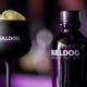 Bulldog Gin