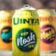 uinta brewing