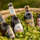 privatbrauerei zwettl produkte