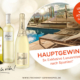 freixenet sommer promotion