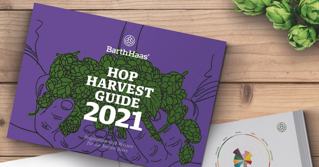 hop harvest guide 2021