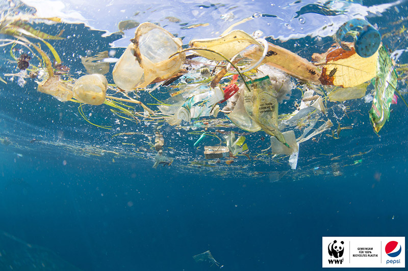 zusammenarbeit wwf pepsico