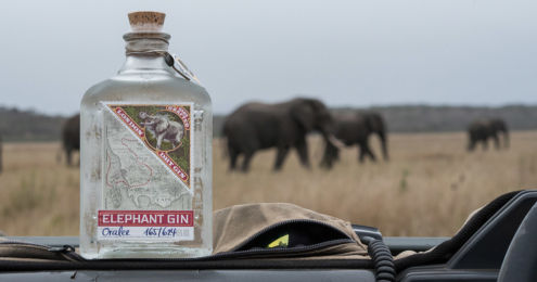 Elephant Gin Spende Teaser