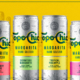 topo chico margartita hard seltzer