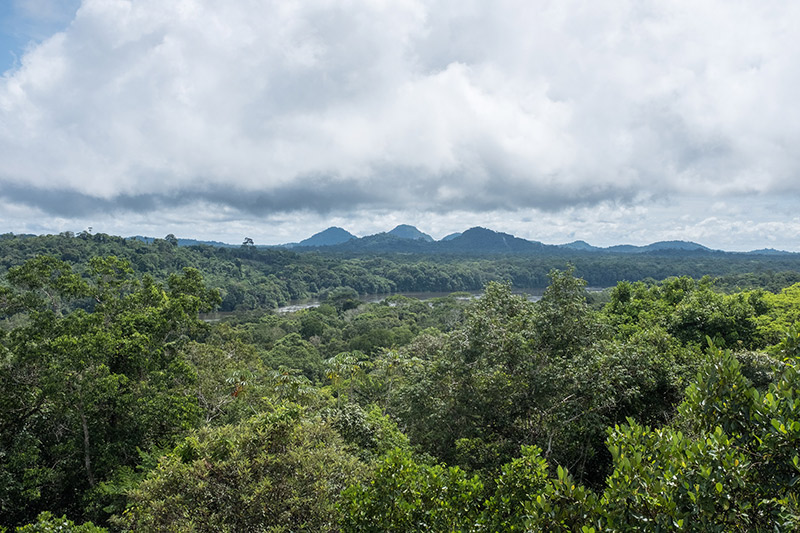 canaima gin