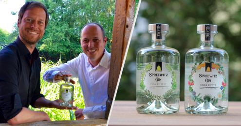 interview spreewitz gin