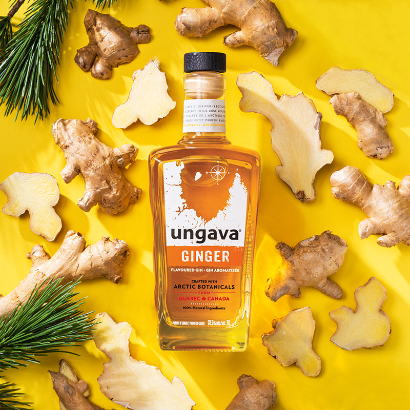 ungava ginger