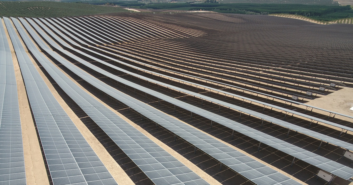 AB InBev Solarpark