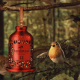 redbreast birdfeeder