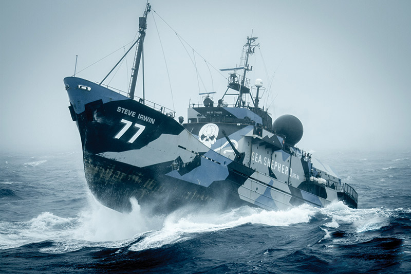 sea shepherd