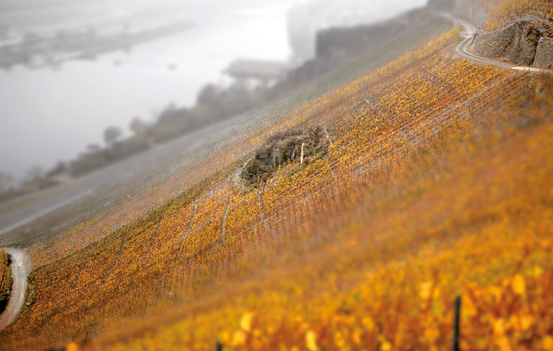 Weingut Martin Schömann