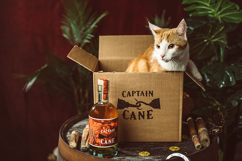 captain cane