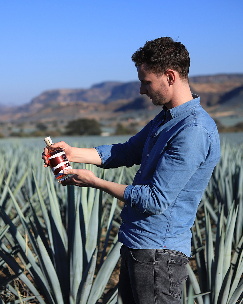 mayaciel agave