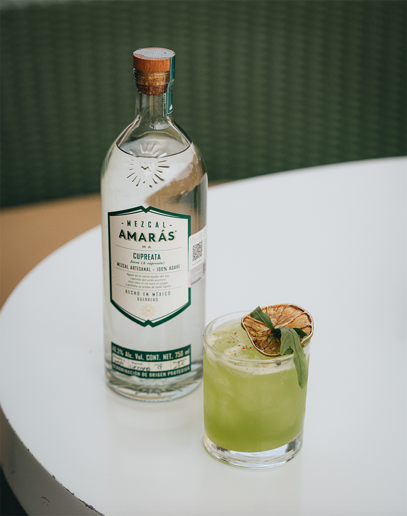 mezcal amaras cupreata