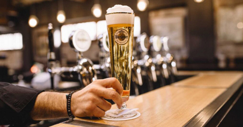 warsteiner bier