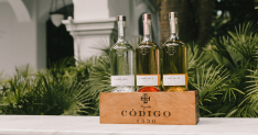 Código 1530 Tequila