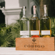 Código 1530 Tequila