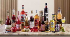VdFW Apfelwein Fruchtwein
