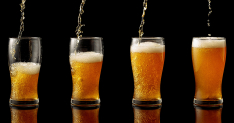 Bier Wachstum Adobe Stock